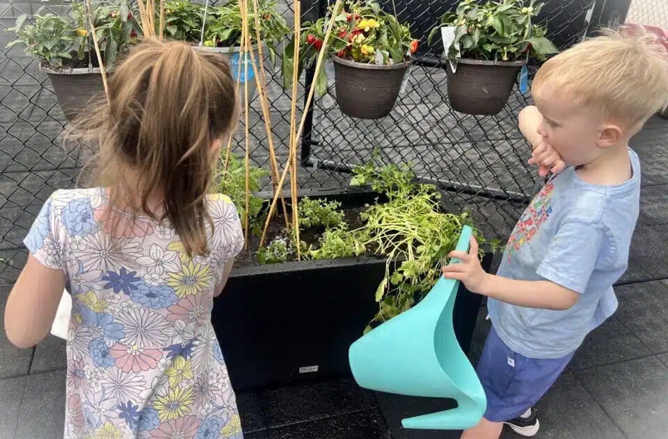 Students of Inspire School